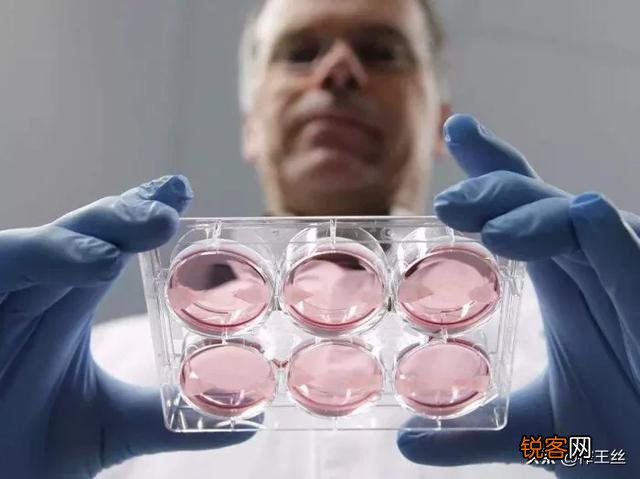 麦当劳推出人造肉汉堡,天然肉将被人造肉取代,味道能达标吗？