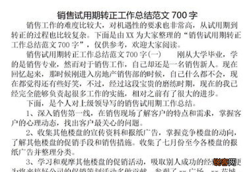 销售试用期总结报告