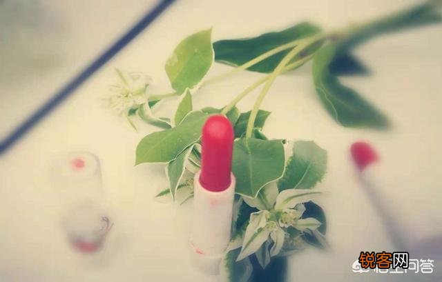 有哪些大牌口红热门色号的平价替代品推荐？