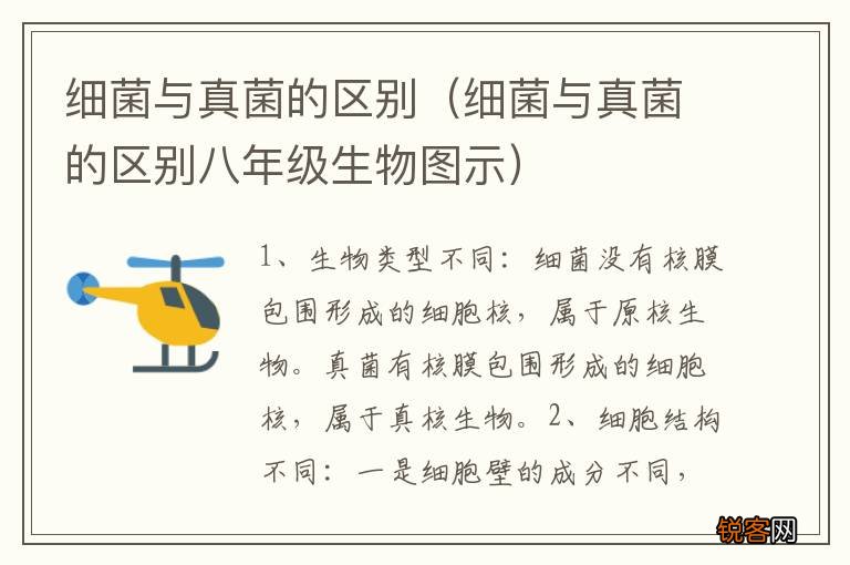 细菌与真菌的区别八年级生物图示 细菌与真菌的区别