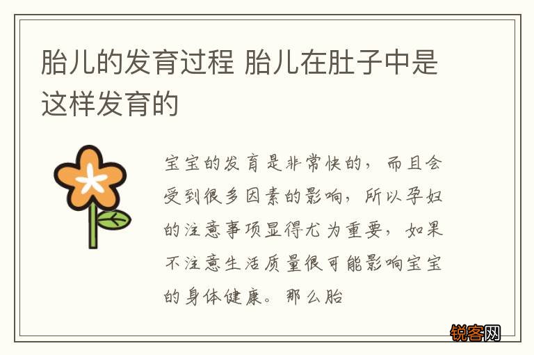 胎儿的发育过程 胎儿在肚子中是这样发育的