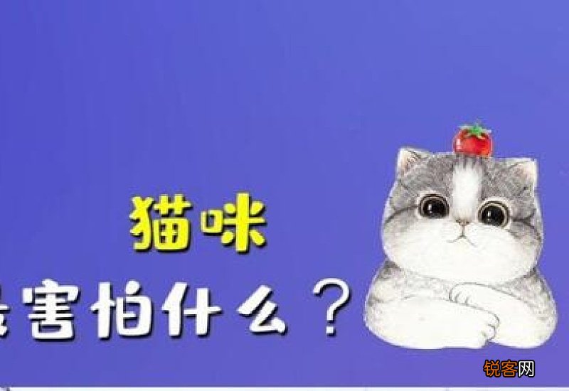 幼猫眼睛蓝膜什么时候退