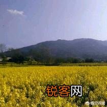 说一个东西脏了,你们用家乡话怎么说？我们是次耐,河南焦作？