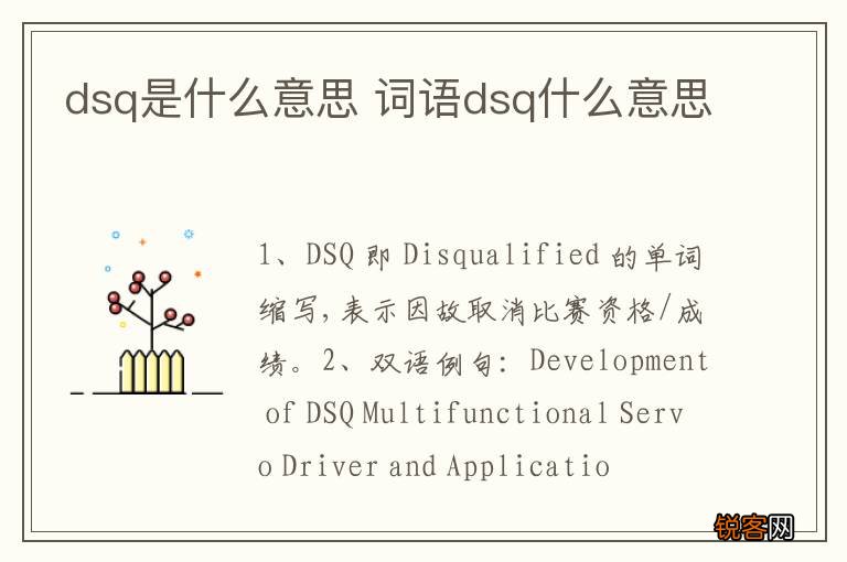dsq是什么意思 词语dsq什么意思