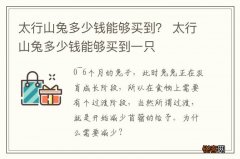 太行山兔多少钱能够买到？ 太行山兔多少钱能够买到一只