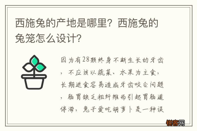 西施兔的产地是哪里？西施兔的兔笼怎么设计？