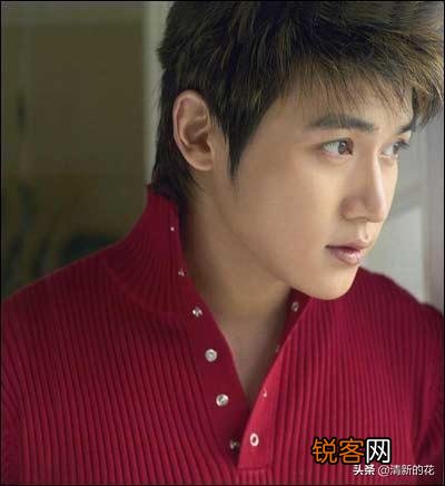 你心目中最帅的男明星是？