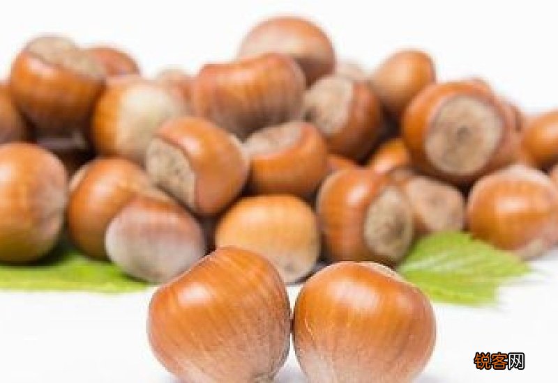 榛子的功效与作用是什么 榛子不能和什么一起吃