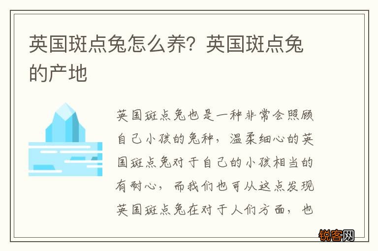 英国斑点兔怎么养？英国斑点兔的产地