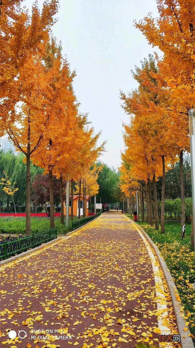 写本小说,有200多万字,收益只有五万左右,大家感觉怎么样？