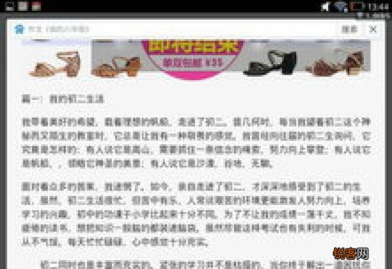 元旦节八年级作文600字