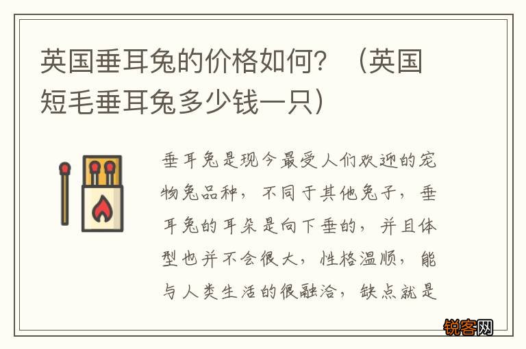 英国短毛垂耳兔多少钱一只 英国垂耳兔的价格如何？