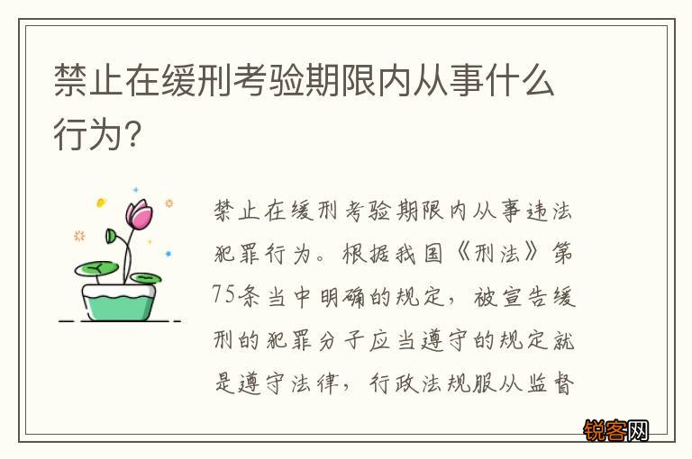 禁止在缓刑考验期限内从事什么行为？