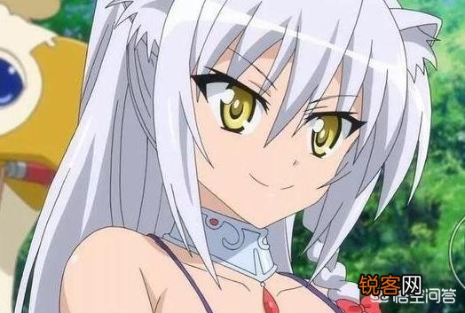 动漫中有哪些猫娘美少女？