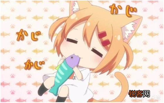 动漫中有哪些猫娘美少女？