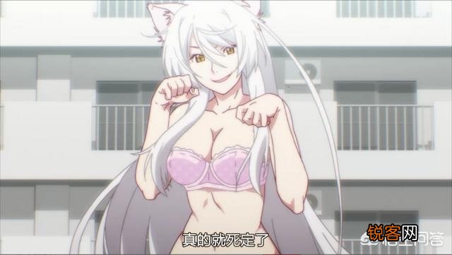 如何评价动漫《续：终物语》？