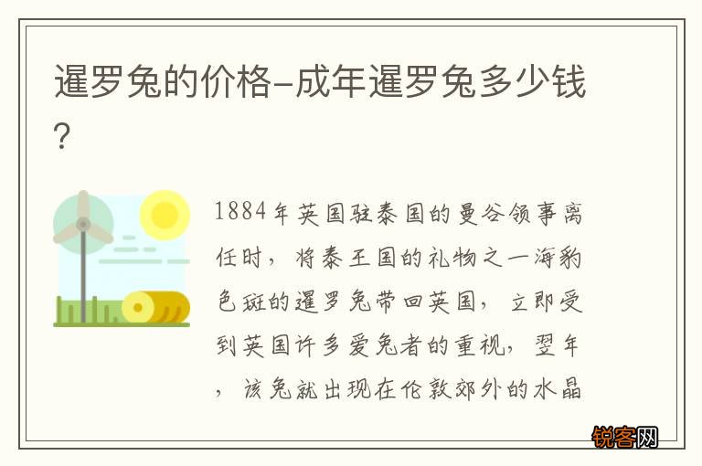 暹罗兔的价格-成年暹罗兔多少钱？
