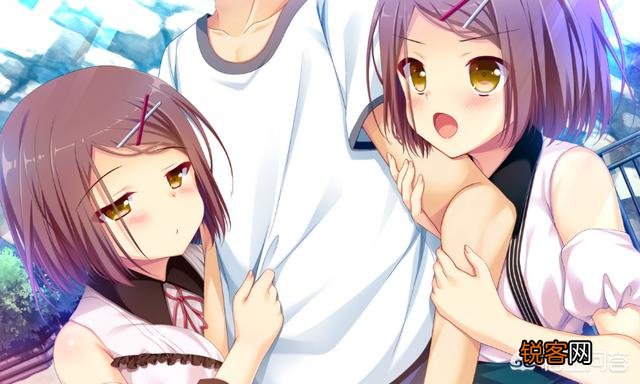 有哪些人气高的动漫姐妹角色？