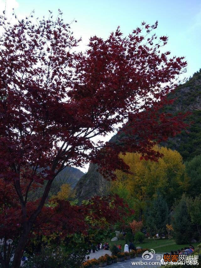 九寨沟开放了吗？春节可以去吗？