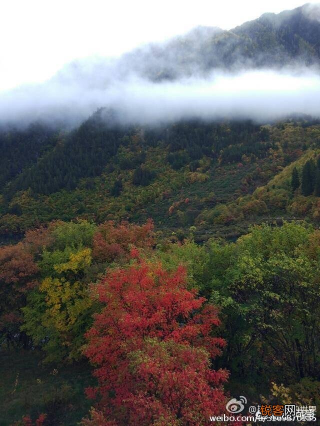 九寨沟开放了吗？春节可以去吗？