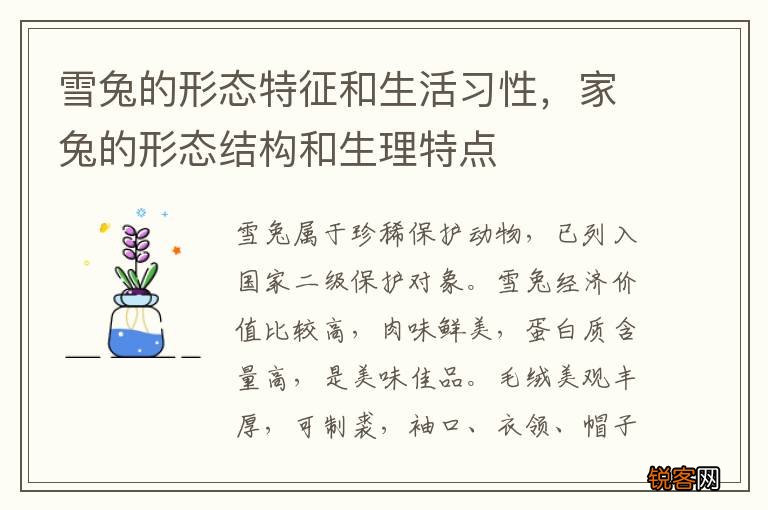 雪兔的形态特征和生活习性，家兔的形态结构和生理特点