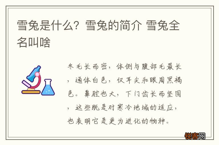 雪兔是什么？雪兔的简介 雪兔全名叫啥