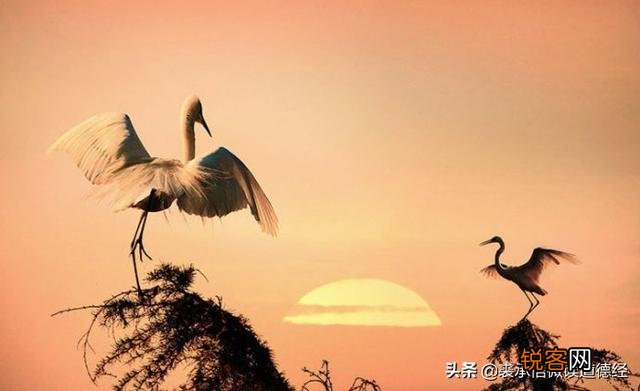 《道德经》第十章中,“载营魄抱一”的“营”是什么含义?第十章为什么都是疑问句？该怎样理解这一章？