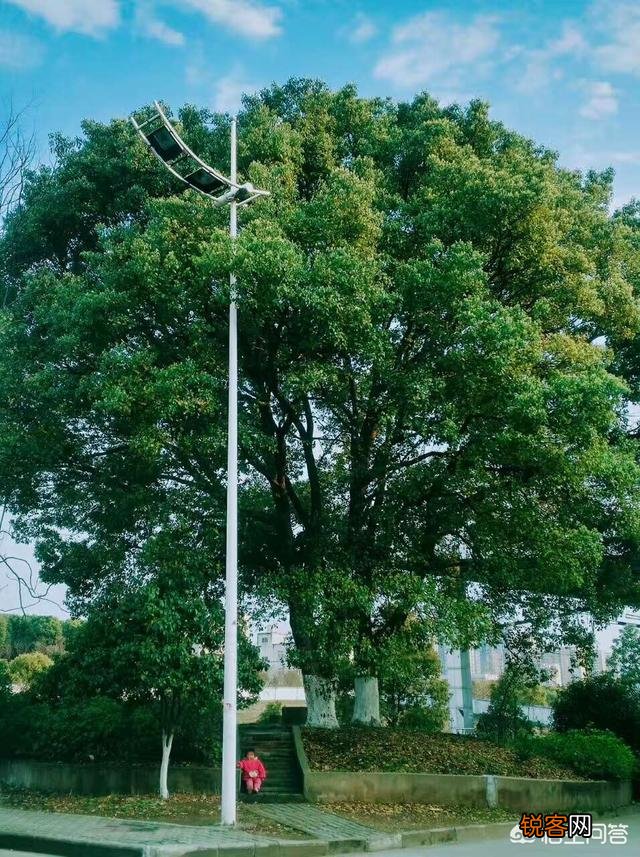 中国的《易经》可能隐藏超级科学吗,你怎么看？