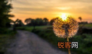 致往后余生的唯美句子 致往后余生的唯美句子有哪些