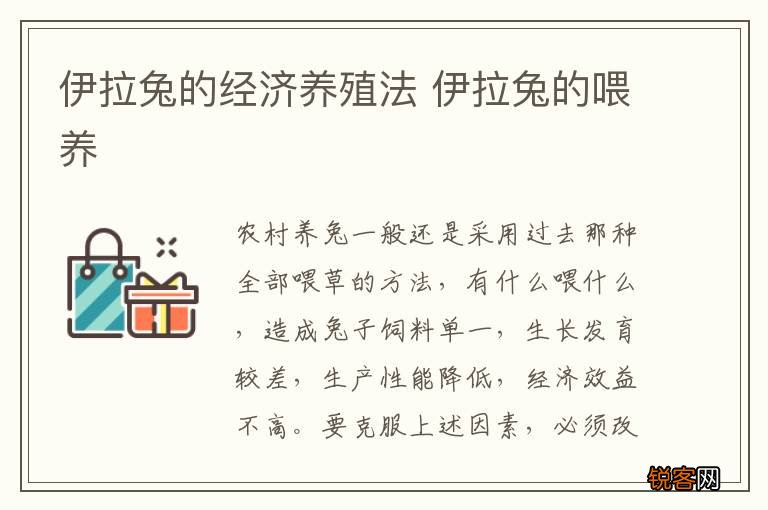 伊拉兔的经济养殖法 伊拉兔的喂养