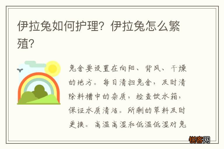 伊拉兔如何护理？伊拉兔怎么繁殖？