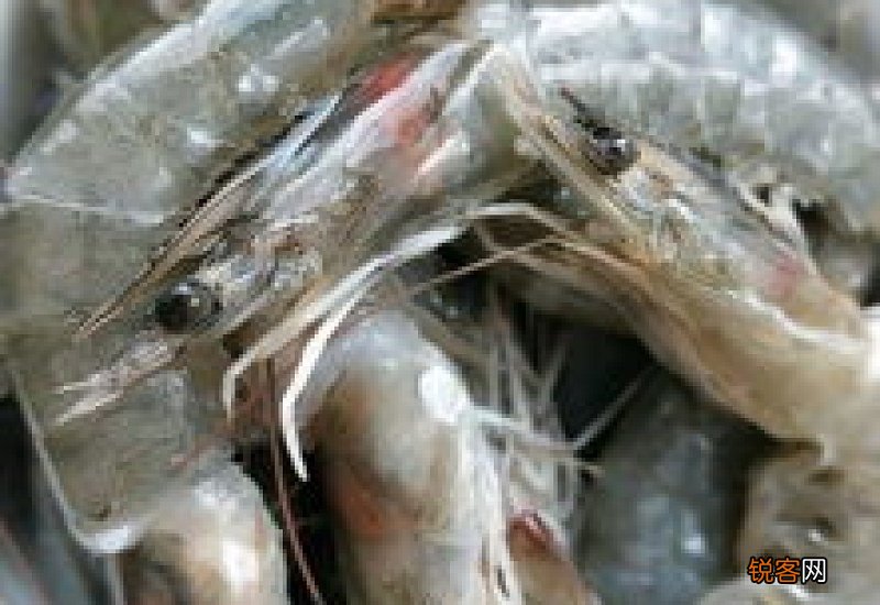 去冻虾的虾线方法 如何去冻虾虾线