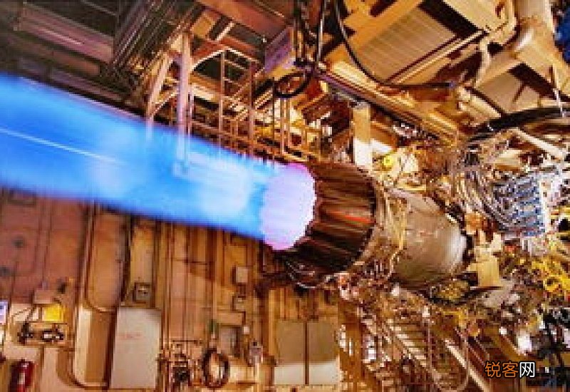 玫瑰花加蒲公英能每天喝吗