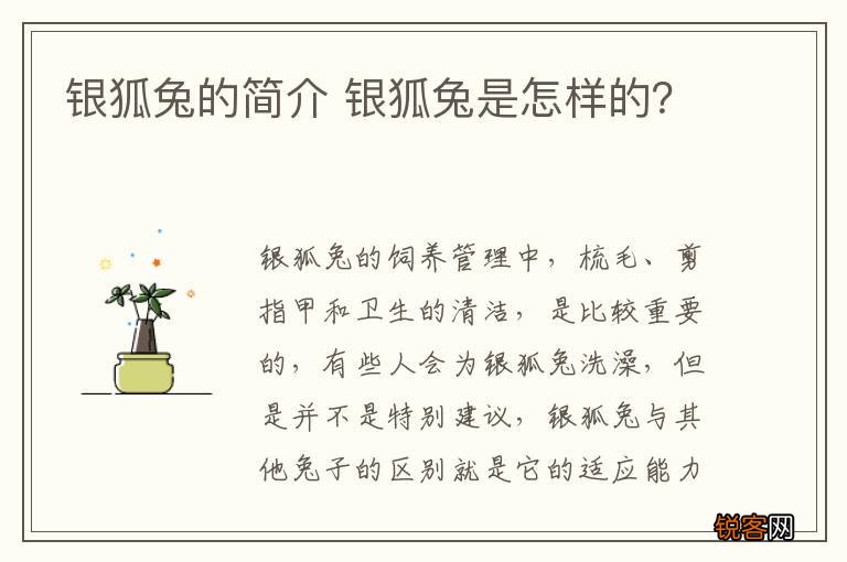 银狐兔的简介 银狐兔是怎样的？