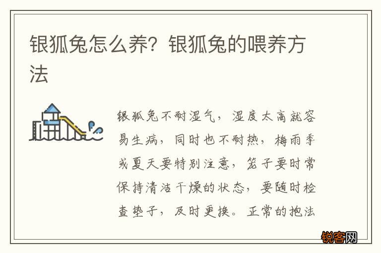 银狐兔怎么养？银狐兔的喂养方法