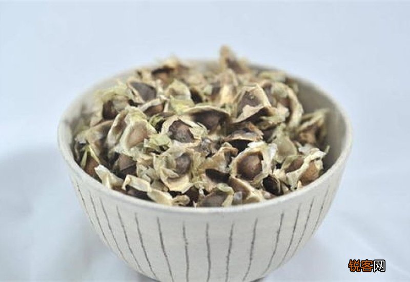 辣木籽可以吞服吗