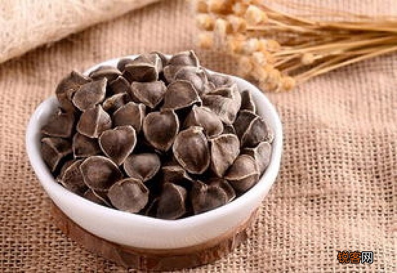 辣木籽磨成粉怎么吃