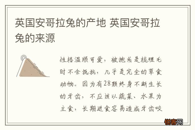 英国安哥拉兔的产地 英国安哥拉兔的来源