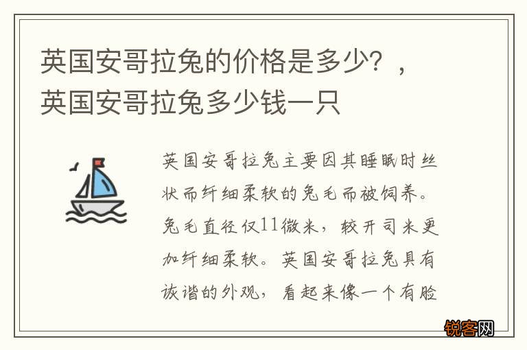 英国安哥拉兔的价格是多少？，英国安哥拉兔多少钱一只