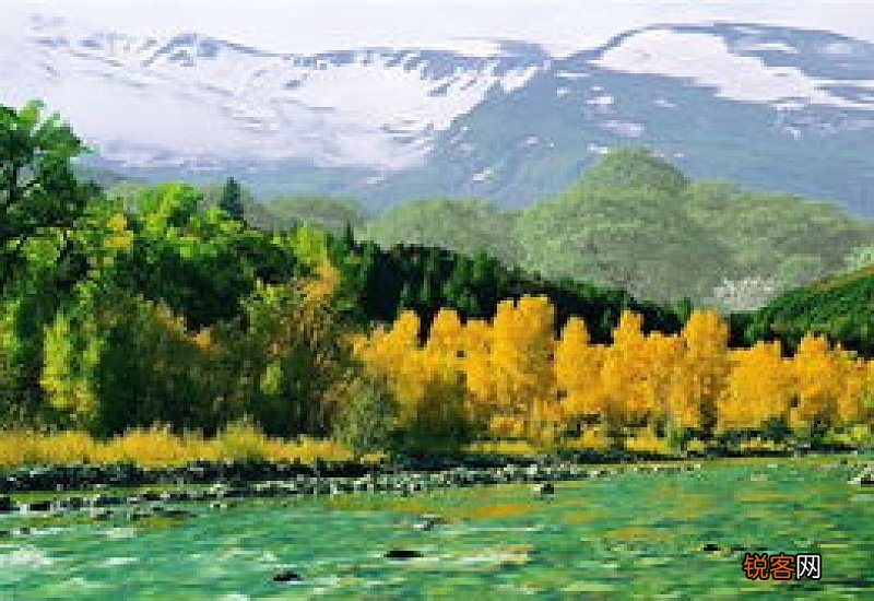 辣木籽过期了能当枕头吗