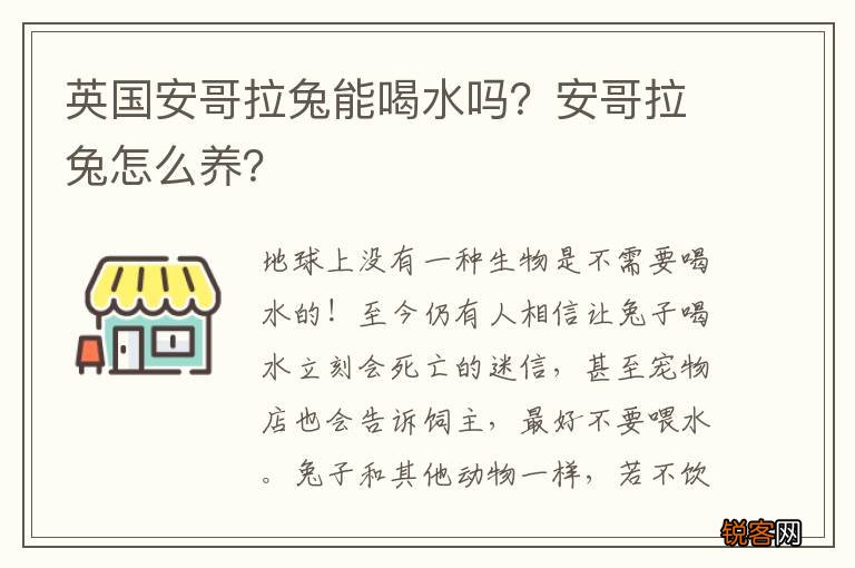英国安哥拉兔能喝水吗？安哥拉兔怎么养？