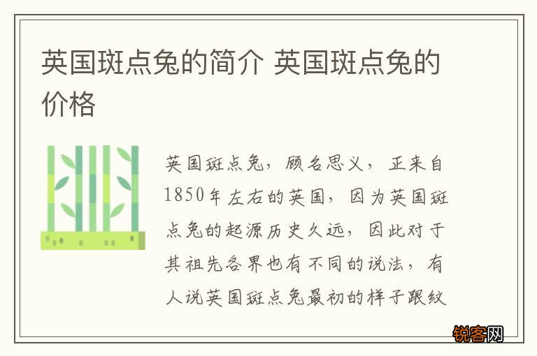 英国斑点兔的简介 英国斑点兔的价格