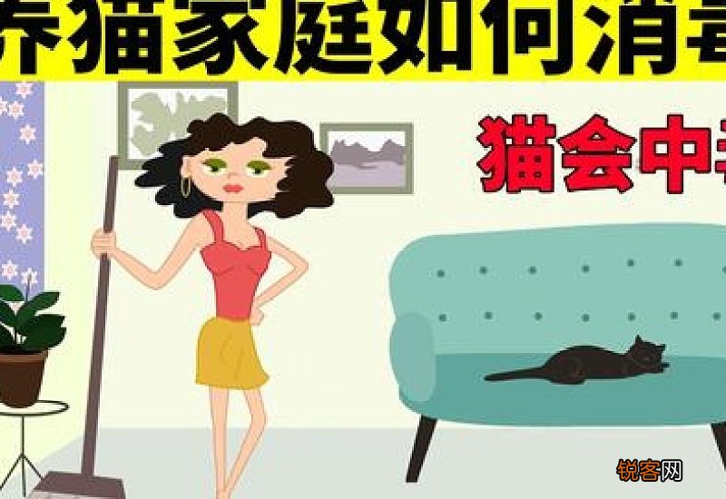 猫瘟之后多久可以再养