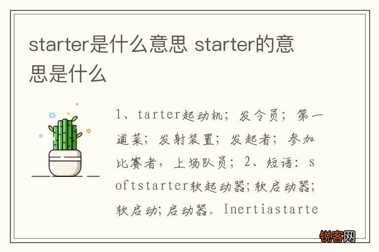 starter是什么意思 starter的意思是什么