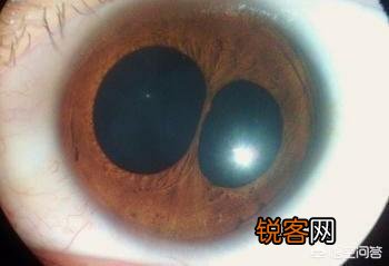 中国历史上重瞳的人都是谁？