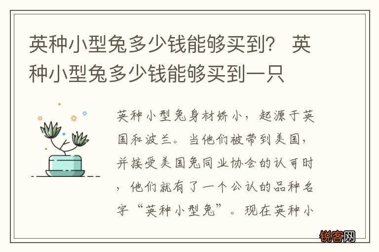 英种小型兔多少钱能够买到？ 英种小型兔多少钱能够买到一只