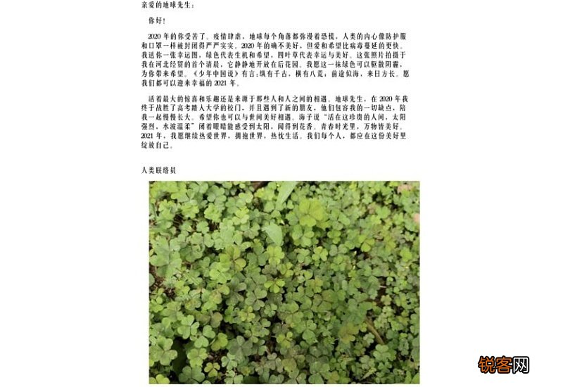 告别2020展望2021作文