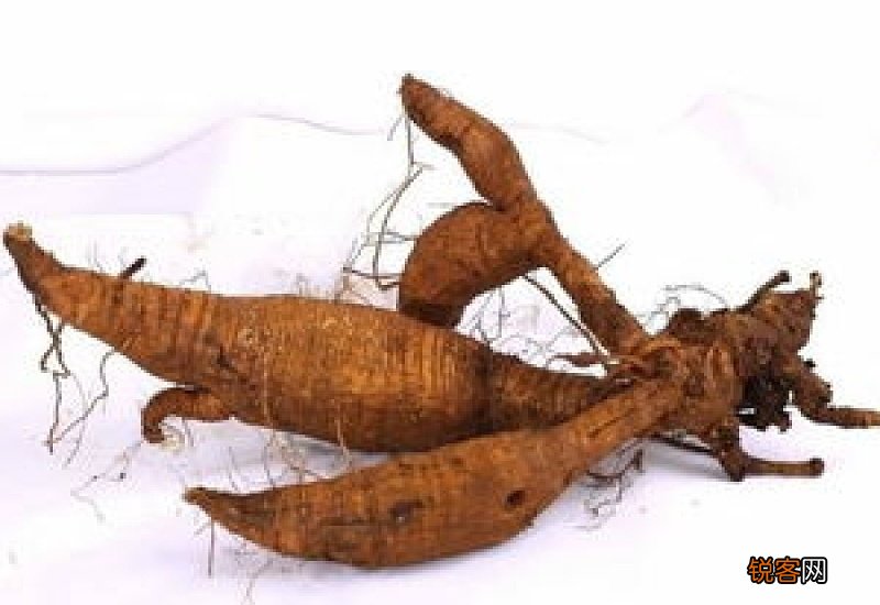 葛根泡水对女性的好处