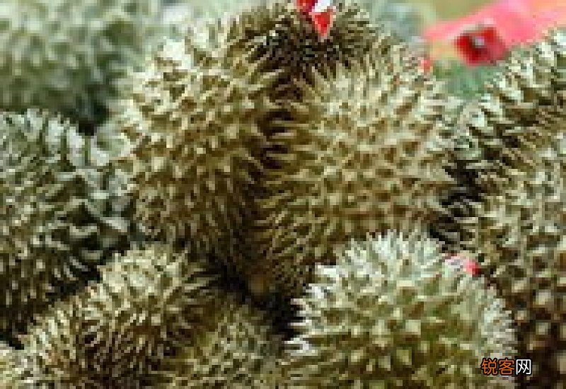 榴莲壳洗澡有什么好处 榴莲壳洗澡有好处吗