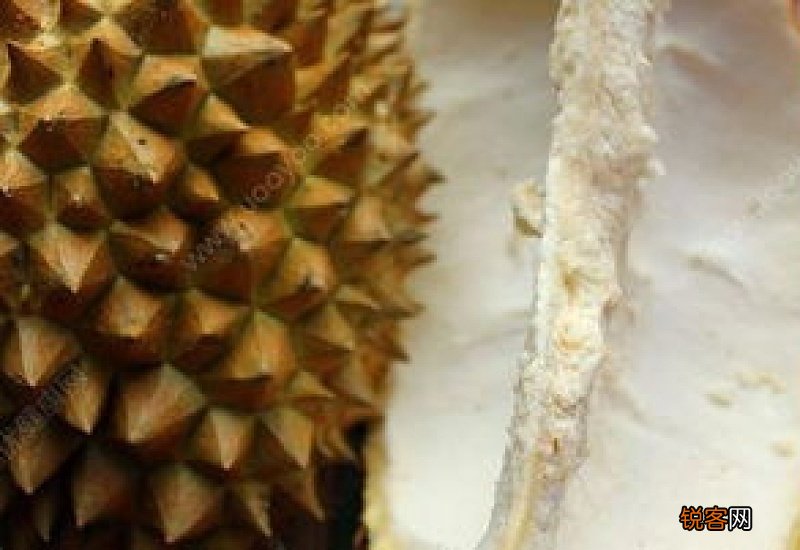 榴莲壳的功效与作用 榴莲壳的营养价值